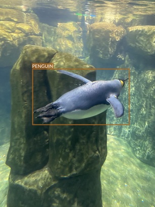 penguin1