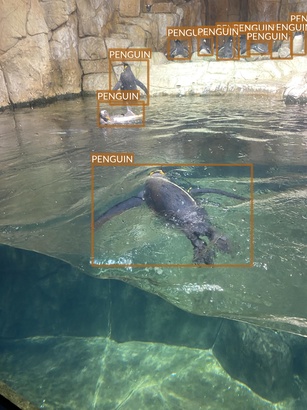 penguin3