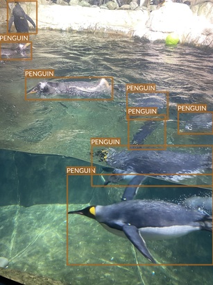 penguin4